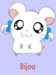 bijousmall.gif